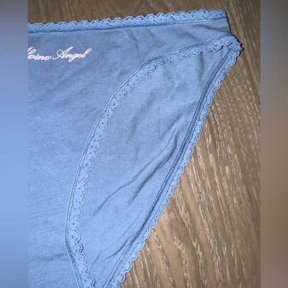 VICTORIA SECRET BLUE ALPINE ANGEL HIGH WAIST LACE TRIM COTTON BIKINI PANTY LARGE - Picture 10 of 13